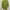 Casual Sweater Wanita green photo 2