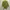 Casual Sweater Wanita green photo 1