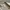We11done carpenter duck beige pants photo 4