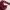 KEBAYA BROKAT MAROON photo 2