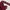 KEBAYA BROKAT MAROON