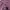 Crewneck dark purple FALLETT original branded/ L photo 2