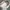 CROCS TODDLER BALLERINA PINK  photo 7