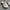 CROCS TODDLER BALLERINA PINK  photo 2