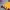 Casual Windbreaker Pria yellow photo 3