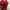 Christian Louboutin red pump photo 4
