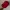 Chicago Bulls Cap by kick10 photo 1