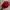 Chicago Bulls Cap by kick10 photo 4