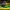 Jersey brazil photo 3