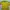 Jersey Brazil