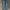 Back Point Jeans Pants photo 2