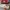 Vans Slipon Parchment photo 3