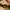 Vans Slipon Parchment photo 9