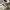 Vans Sk8 Hi Contruction White photo 2