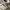 Vans Sk8 Hi Contruction White