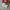 Vans Sk8 Hi White x Nitendo Mario Broos photo 3