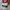 Vans Sk8 Hi White x Nitendo Mario Broos photo 1