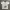 kaos beaumout car y2k photo 1