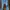 Celana Jeans Earth, Music&ecology photo 1