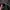 Glasses RayBand Wayfarer Print photo 3