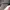 Glasses RayBand Wayfarer Print photo 5