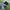 Salomon Y2K Casual shoe Pria black photo 4