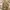 Midi Skirt Batik Songket Wanita Rok Kebaya Kondangan Gold photo 1