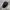WITHMOONS Commando Hat Military Skull Stud Cotton Army Hat photo 6