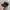 WITHMOONS Commando Hat Military Skull Stud Cotton Army Hat photo 1