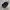 WITHMOONS Commando Hat Military Skull Stud Cotton Army Hat photo 7