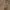 Jacket Sherpa Corduroy GAP oversize photo 2