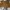 Jacket Sherpa Corduroy GAP oversize photo 1