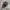 Duanni Distressed Cadet Hat Punk photo 6