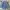Levi's belted trucker 75690 photo 2