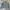 Levi's trucker 70748 photo 2