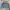 Levi's trucker 70748 photo 1