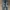 Levis Jeans Pants
