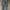 Levis Jeans Pants photo 3