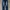Levis Jeans Pants