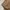 Sweater Cable Knit Cutton Massimo Dutti photo 5