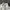 Burberry Triple Archive Logo Print Stretch Cotton photo 3