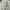 Burberry Triple Archive Logo Print Stretch Cotton photo 4