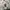 Burberry Triple Archive Logo Print Stretch Cotton photo 8