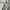 Burberry Triple Archive Logo Print Stretch Cotton photo 6