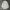 Burberry Triple Archive Logo Print Stretch Cotton photo 2