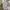 BLUS KATUN H:CONNECT photo 2