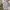 BLUS KATUN H:CONNECT