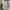 BLUS KATUN H:CONNECT