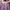 BLUS KATUN ZION photo 3