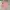 Multi pocket utility tactical bomber jacket penfield pink photo 1
